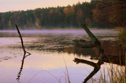 Jezioro Ostrowite jesienią