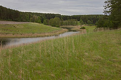 Meandrująca rzeka